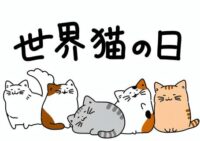 8月8日は世界猫の日！保護猫と高齢者施設をつなぐ温かい未来へ