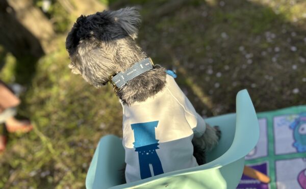 愛犬との散歩が教えてくれる「寄り添う心」