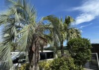 離島からのご相談