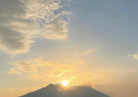 鹿児島に戻って参りました