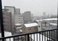 鹿児島でも雪　選挙には行きましょう