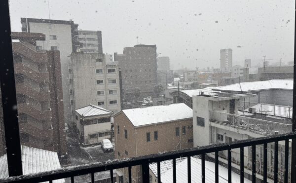 鹿児島でも雪　選挙には行きましょう