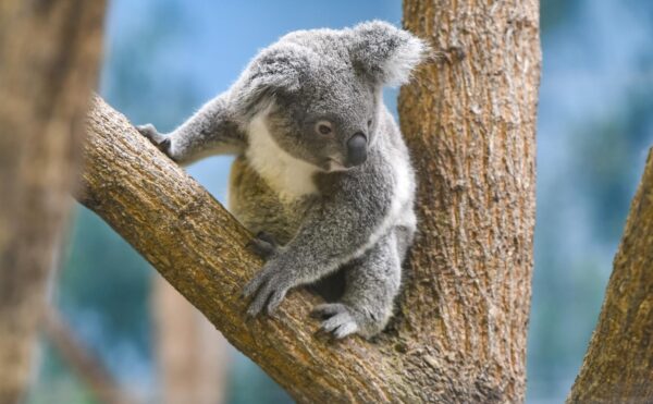 施設紹介　鹿児島市平川エリア【グループホームすずらんの家】様