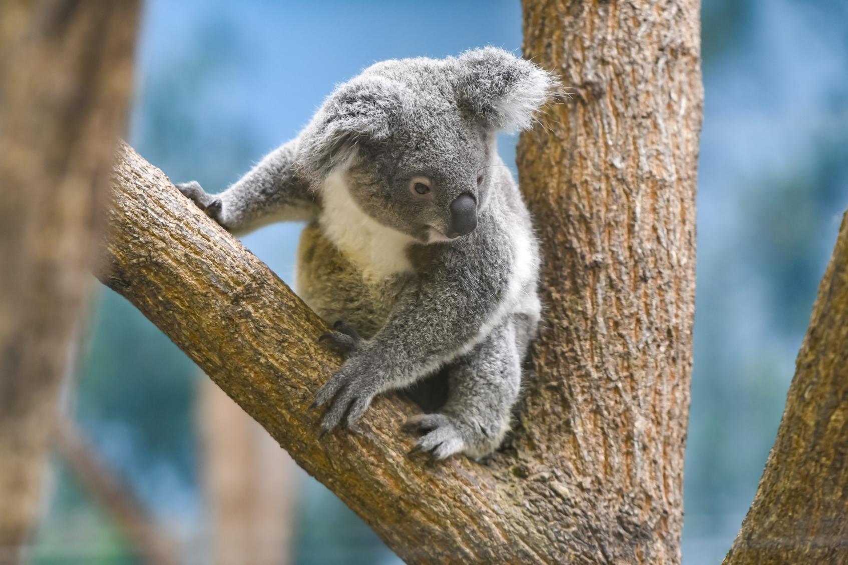 施設紹介　鹿児島市平川エリア【グループホームすずらんの家】様