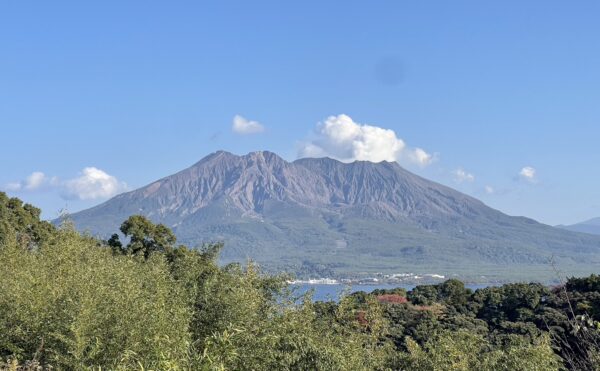 施設紹介　鹿児島市長田町エリア【老健　ナーシングホーム城山の森】さま