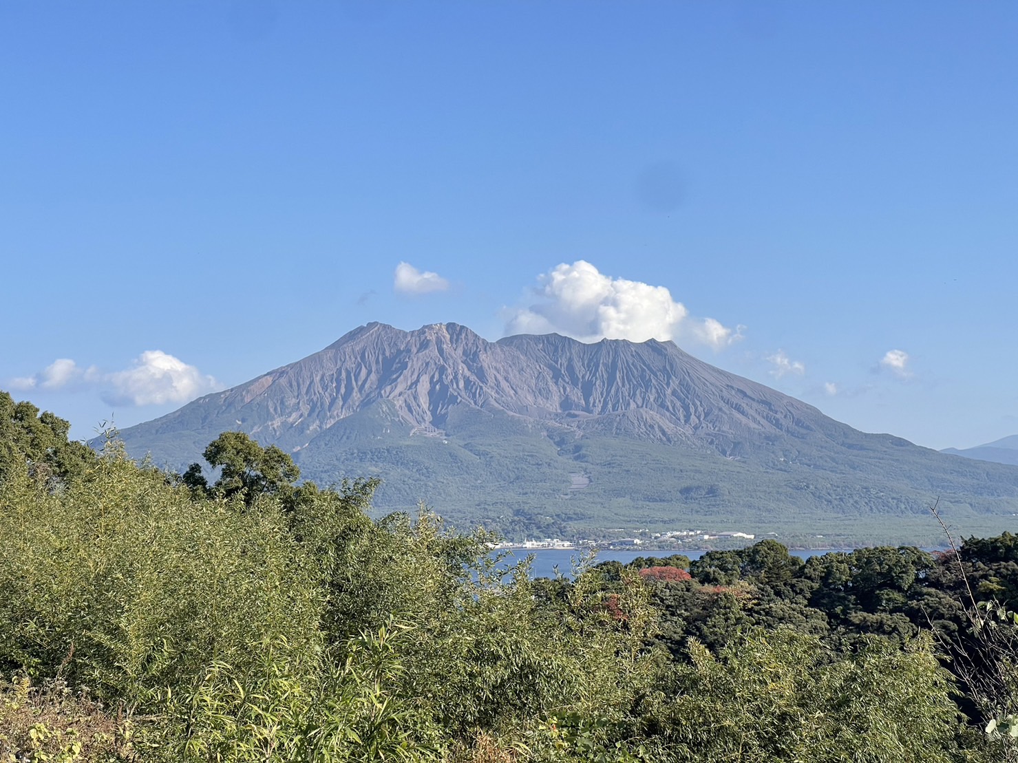 施設紹介　鹿児島市長田町エリア【老健　ナーシングホーム城山の森】さま