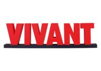 ドラマ「VIVANT」に夢中です!